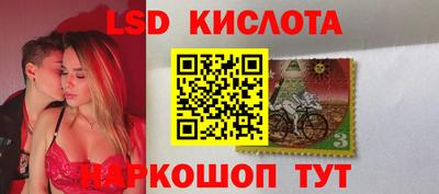 тгк Новодвинск