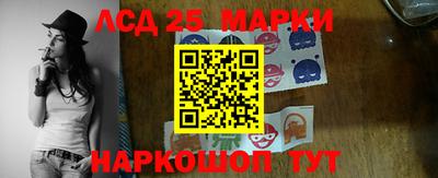 тгк Новодвинск