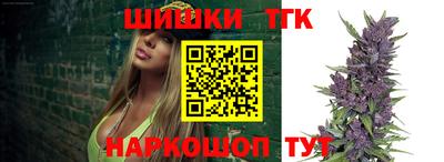 тгк Новодвинск
