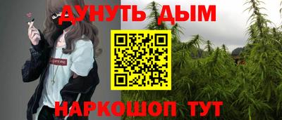 скорость Новозыбков