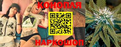 скорость Новозыбков