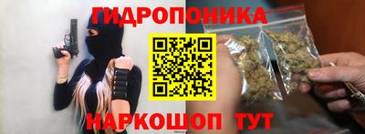 тгк Новодвинск