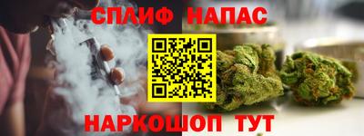 тгк Новодвинск