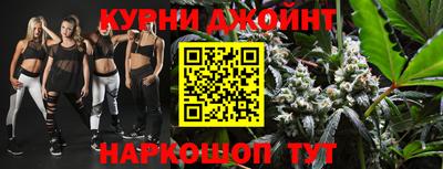 скорость Новозыбков
